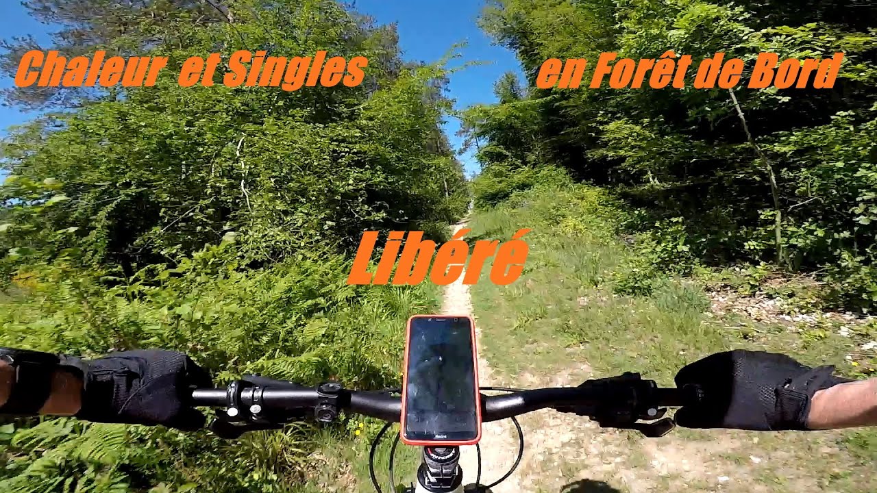 VTT - Singles en Forêt de Bord (Criquebeuf/Seine,Louviers,St Pierre) Normandie