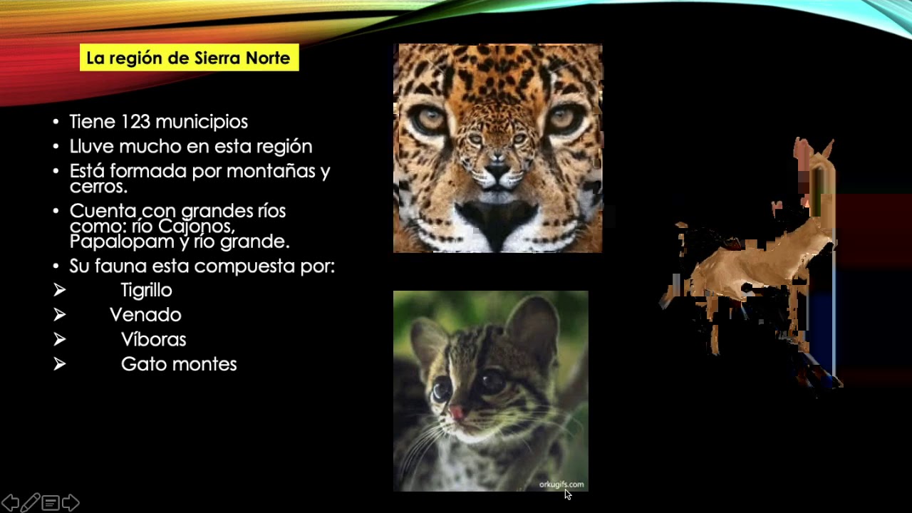 REGIONES, DISTRITOS Y MUNICIPIOS DEL ESTADO OAXACA