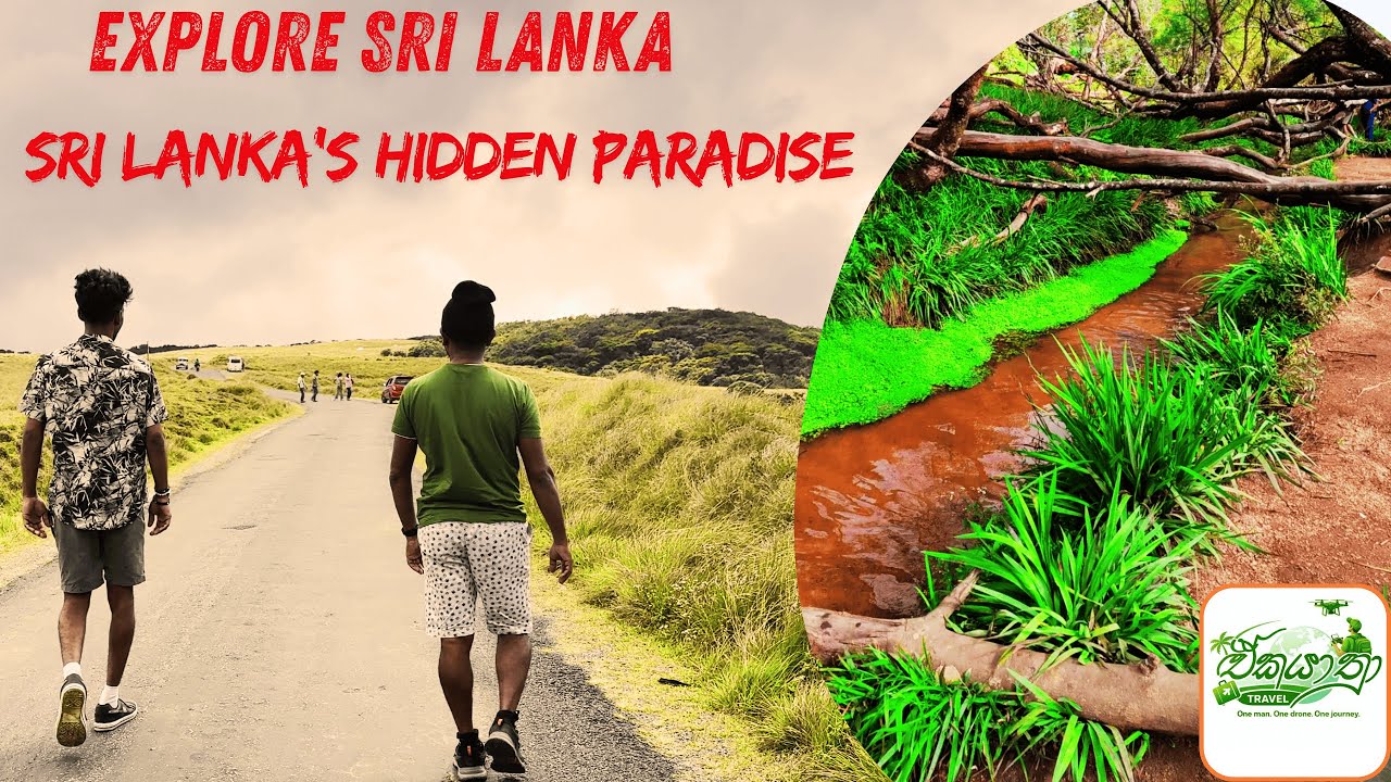 Pattipola, Sri Lanka 🇱🇰 | A Hidden Paradise in the Hill Country You’ve Never Seen