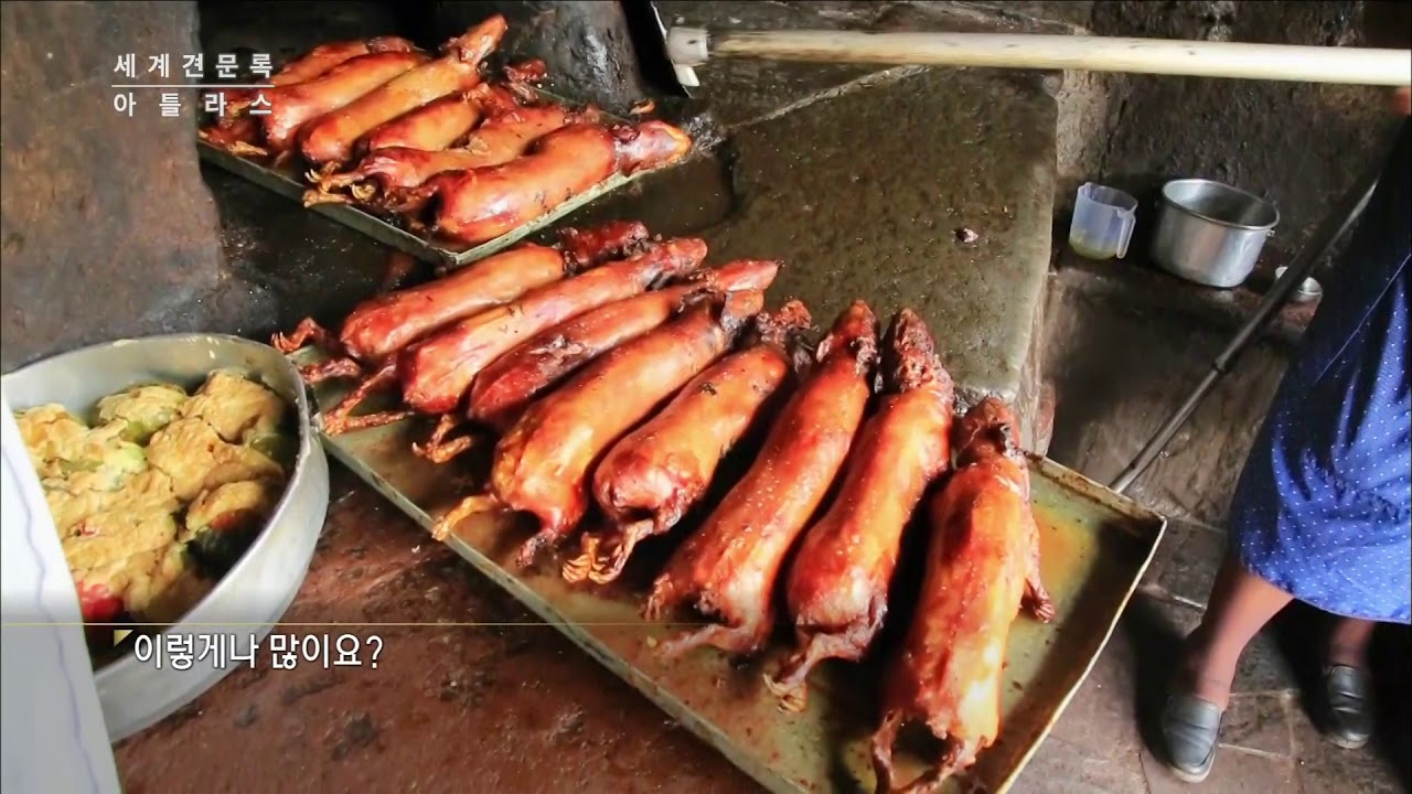 (UP) 한 마리가 일 인분! 기니피그 통구이 &lsquo;꾸이&rsquo; (Cuy - Eating Guinea Pig in Tipon, Peru)