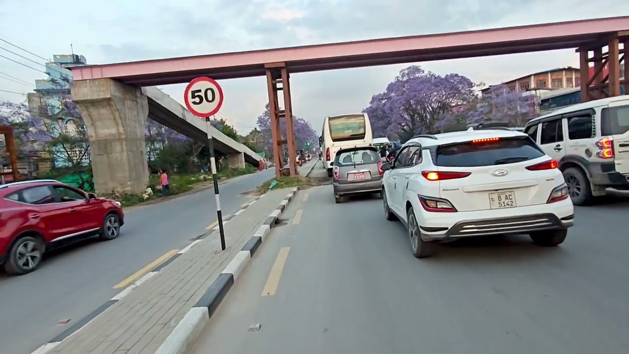 Ekantakuna To Chapagaun Dobato #flowers #ringroadupdate #ringroad 