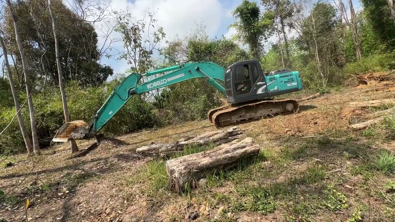 จอมโหดงัดต่อไม้ประดู่เสี่ยเอ็ม