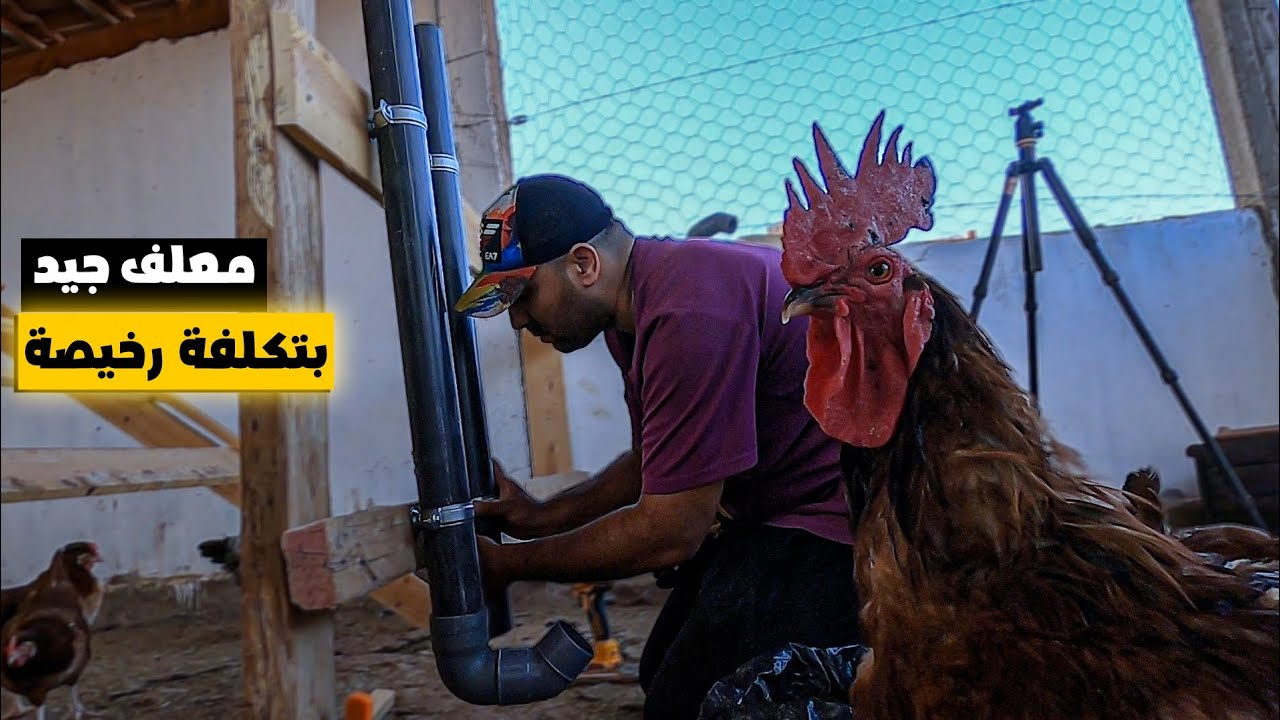 طريقة صنع معالف غير مكلفة بالمواسير/طريقة اخراج البيضة العالقة برحم الدجاجة