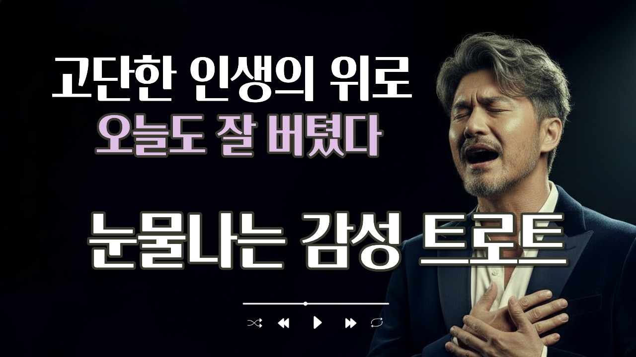 🎵저녁 노을처럼 조용한 위로 | 중년 감성 트로트발라드 1시간 연속듣기