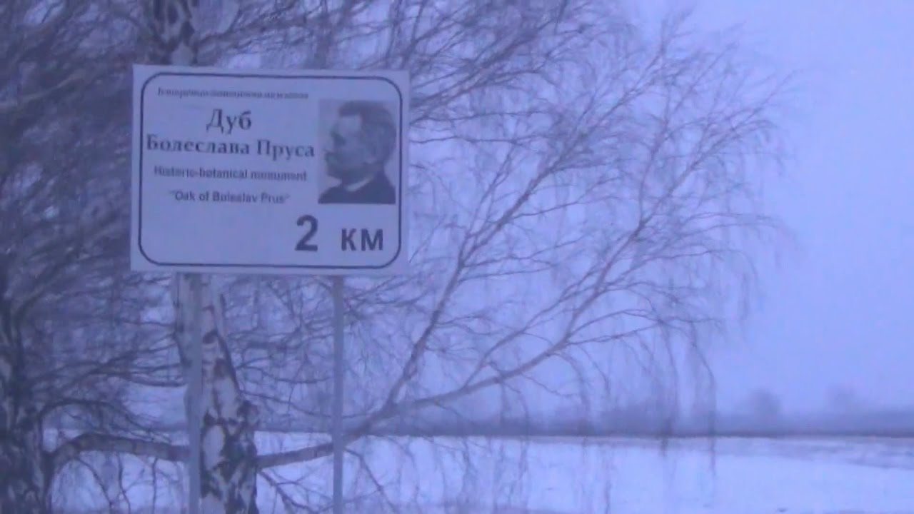 В пошуках дуба Болеслава Пруса. Машів неподадік Любомля, Волинь, Україна, Європа.