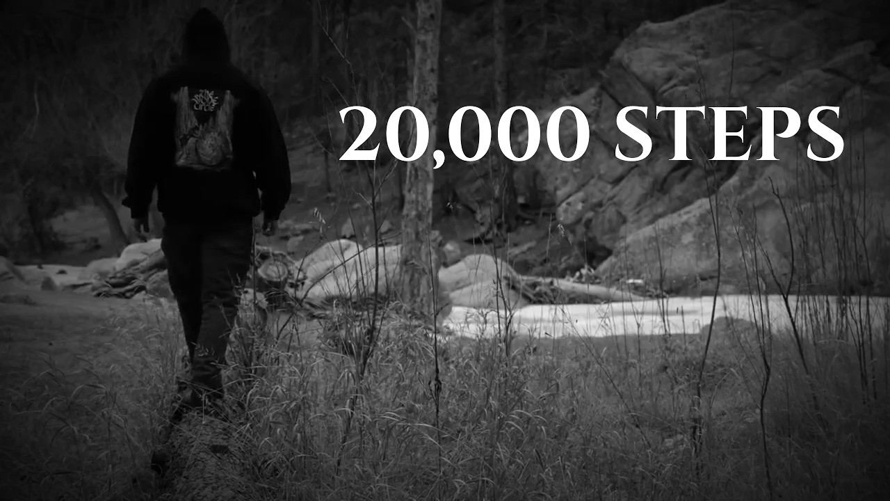 Я проходил по 20 000 шагов в день в течение 250 дней