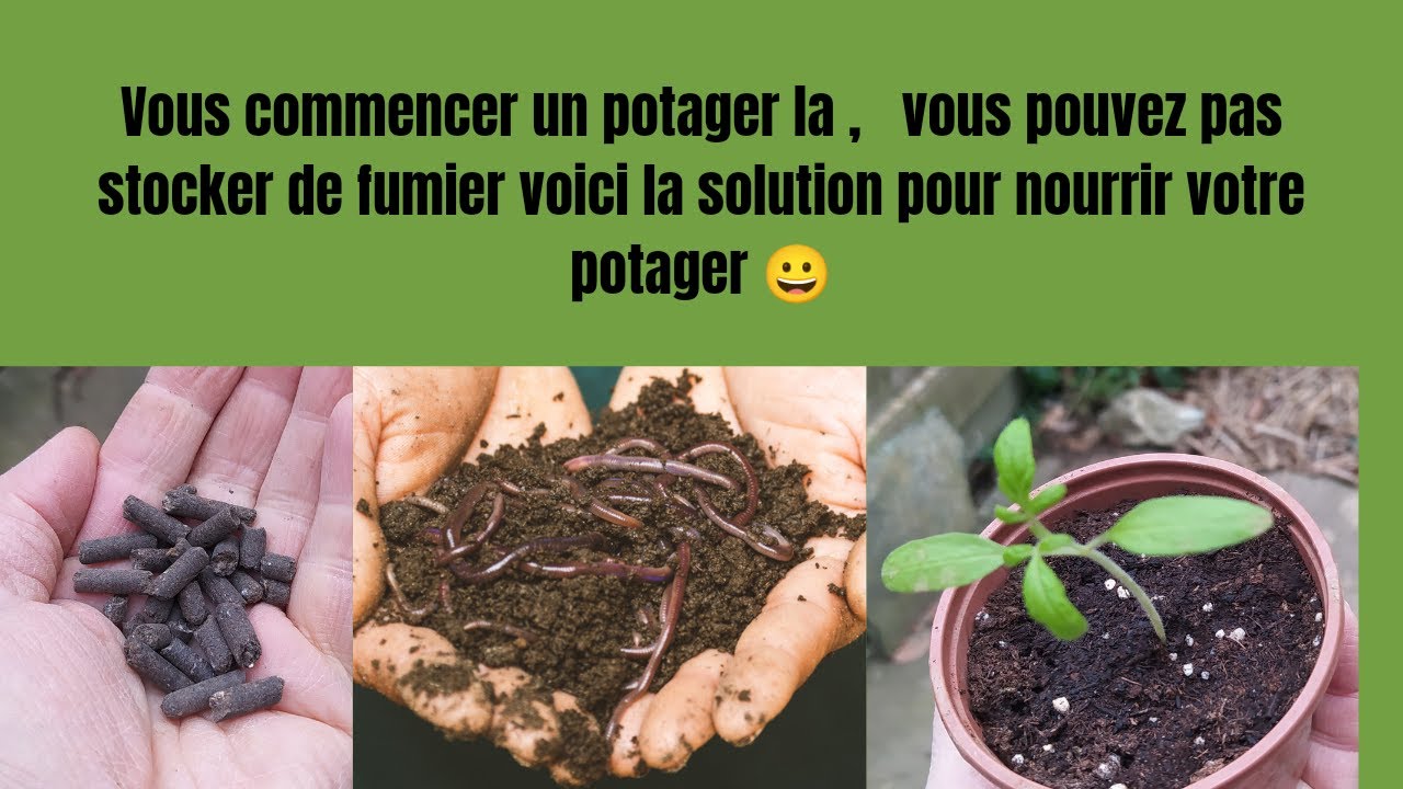 Comment je nourris le sol de mon potager pour une récolte XXL !