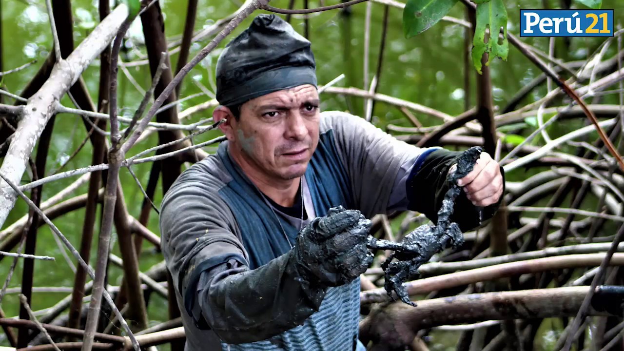 Tumbes, tierra de manglares, conchas y cangrejos