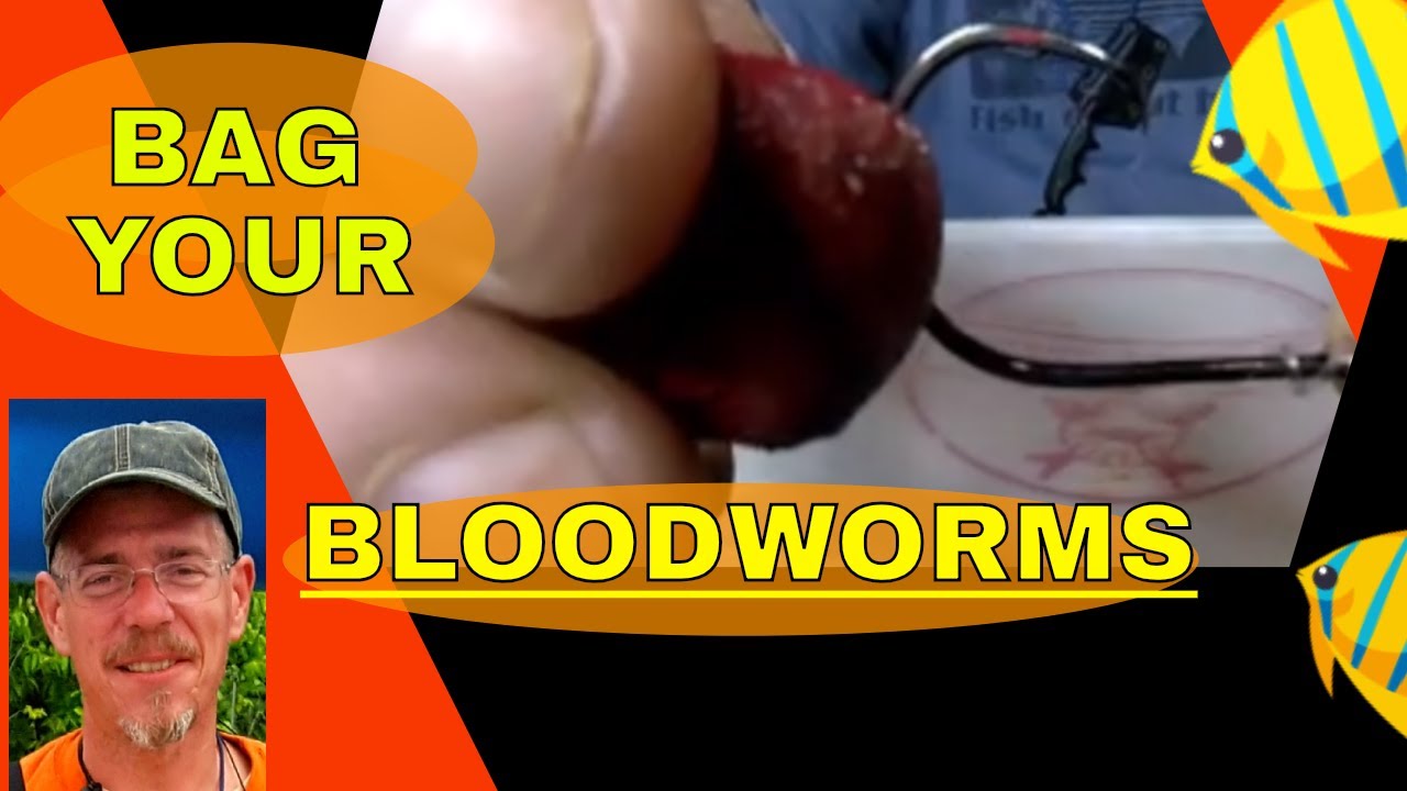 HOW TO MAKE A BLOODWORM BAG