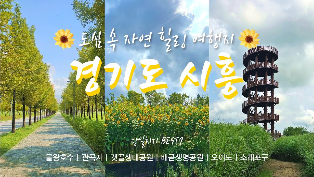 【경기도 시흥여행】 물왕호수·관곡지·갯골생태공원·오이도까지! 하루 만에 즐기는 시흥 7곳 여행 코스 🌿🌊