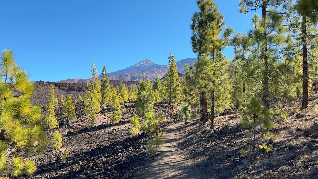 Tenerife - ogni angolo é magia