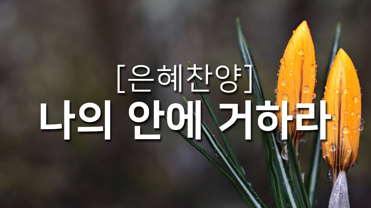[복음성가연속듣기] 나의 안에 거하라_하루찬양( 복음성가, 은혜찬양연속듣기 )
