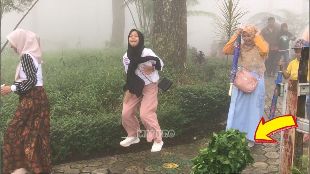 Bushman prank teriak histeris || Suasana syahdu