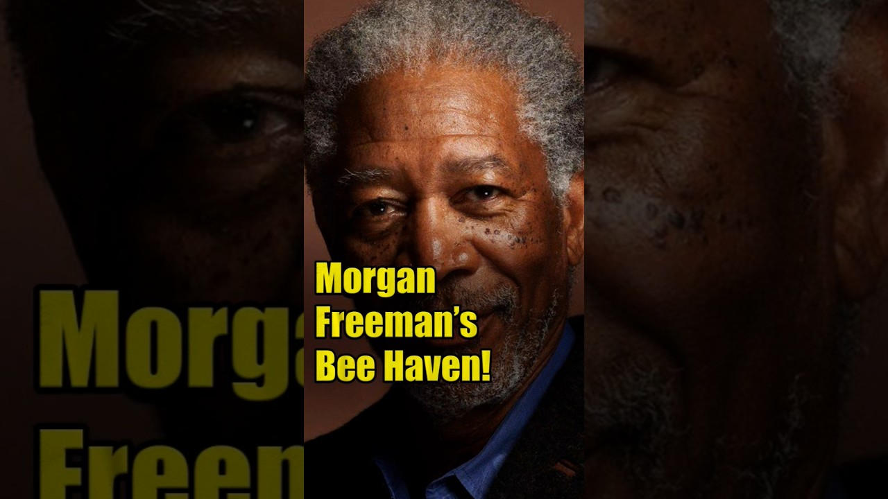 Morgan Freeman&rsquo;s 124-Acre Bee Farm! 🐝🌳 #Weird #Celeb #Eco