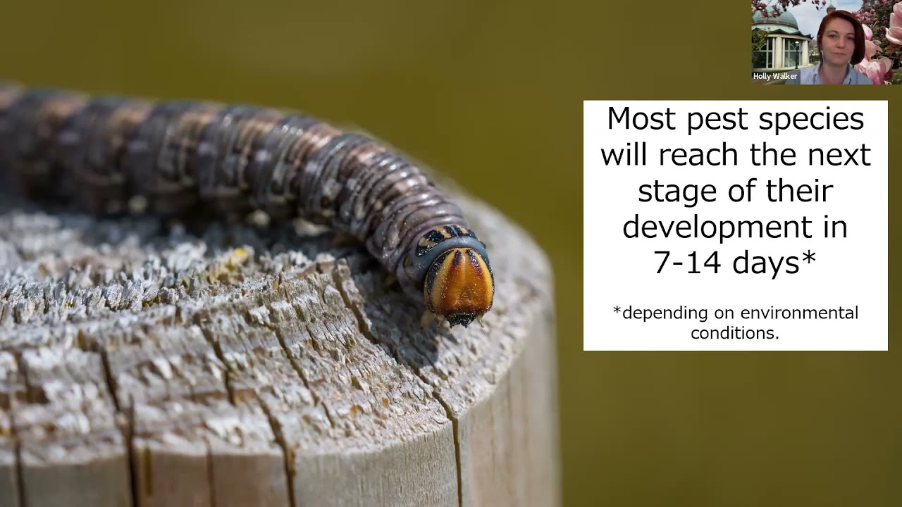 Climate Toolkit Webinar 6: Integrated Pest Management, Indoors and Out