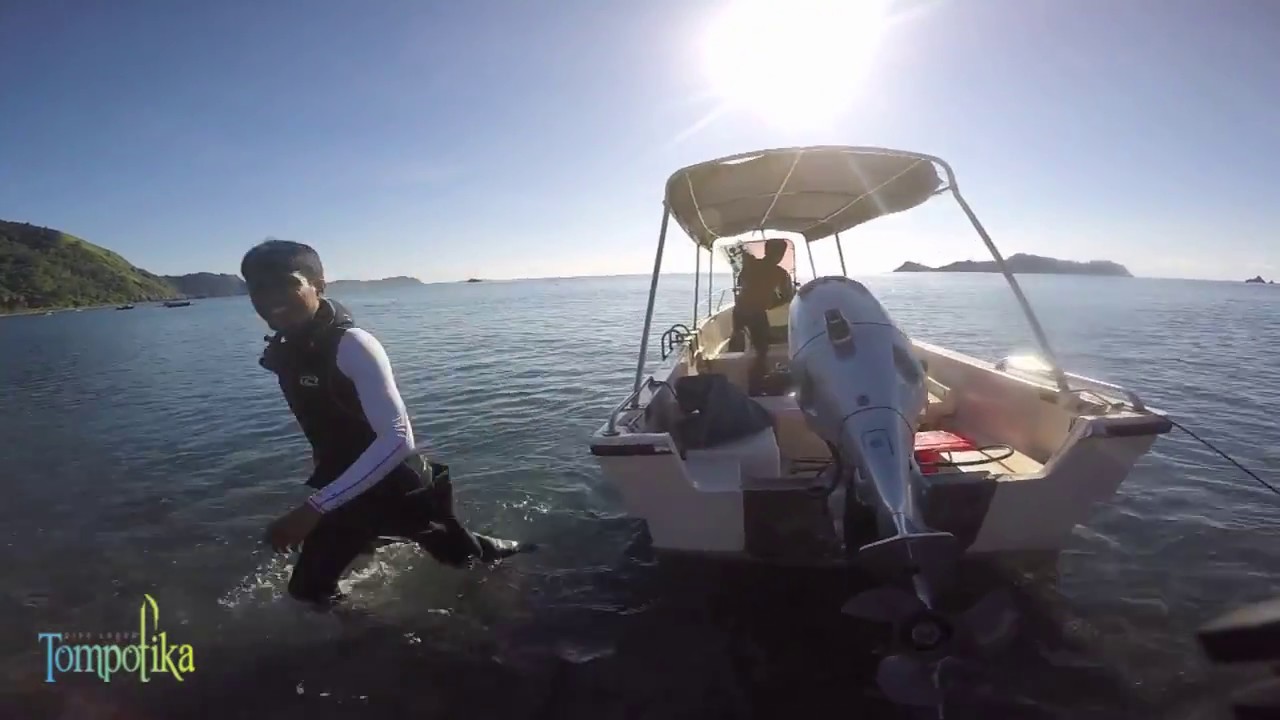 Tompotika Dive Lodge |  Muck dive and wide-angle Sulawesi - Indonesia