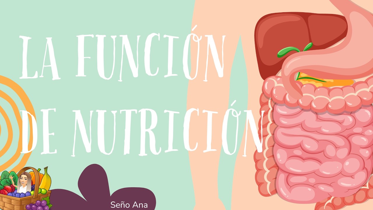LA FUNCIÓN DE NUTRICIÓN Y SUS APARATOS