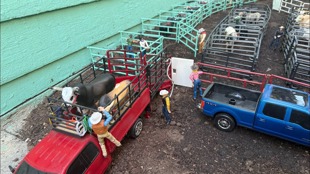 Descargando un toro nuevo. Mini Jaripeo, Bull Toys