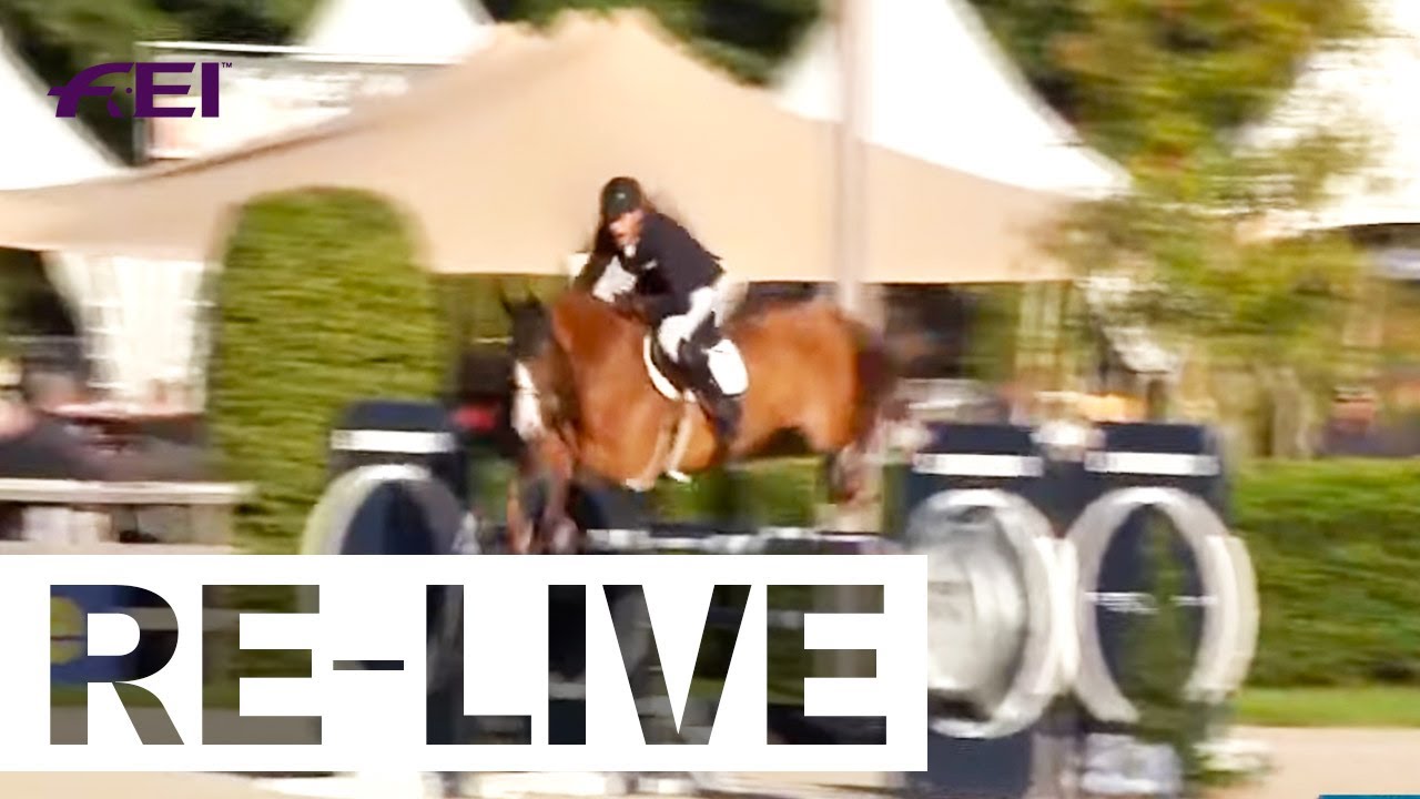 6-year old horses Qualifier - FEI WBFSH Jumping World Breeding Championship for Young Horses