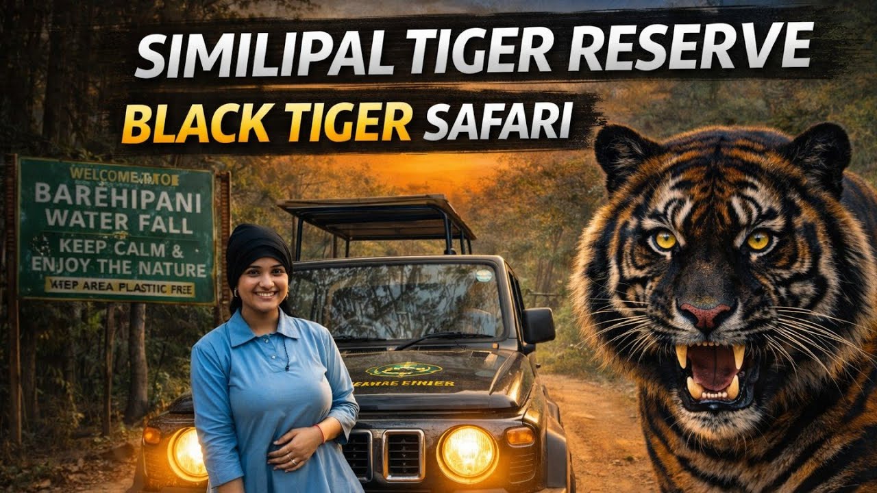 5 Hours Jeep Safari Deep Inside the Jungle 😱Black Tiger Sighting or Not? Watch Till End!