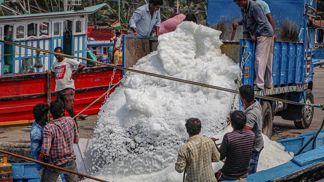 Fishing Boat Tour || Malpe Harbour || Udupi