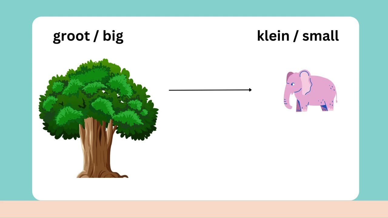 Teaching Afrikaans 1.18 | Big and Small | CAPS Grade 1 Afrikaans FAL