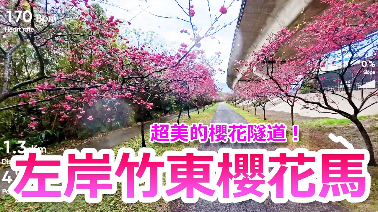 左岸竹東櫻花馬拉松 10k！太美了！這條櫻花隧道！快來奔馳在長達兩公里的櫻花林中吧！跑完後，竹東市集超熱鬧！謝謝東泰高中為我製作這麼特別的禮物！跑完後的按摩也超舒服！太幸福了！