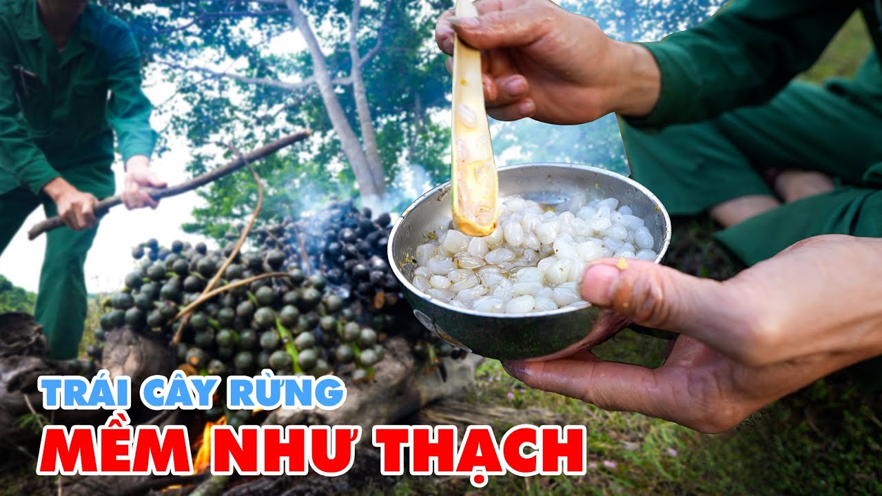 NẤU CHÈ MẬT ONG - TRÁI CÂY RỪNG - Tho Rung