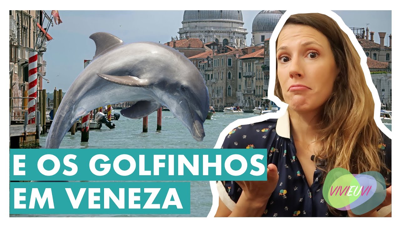 Tours de arte da minha quarentena – Vivi Arte News #VIVIEUVI
