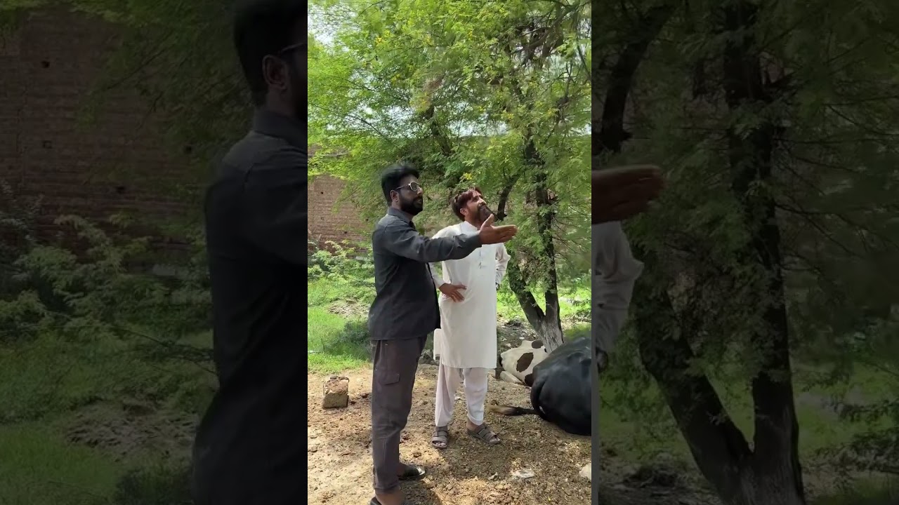 samiullah707|lakri kharidny wala lotyea geya😇😅🤣😂