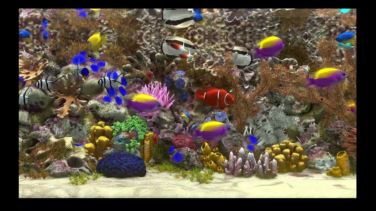 AQUARIUM / FISHTANK IDEAS - ultimate virtual fishtank