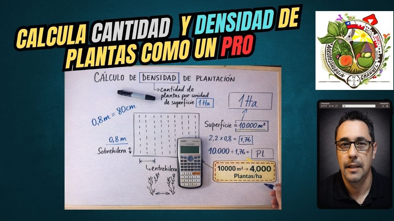 ¿CUÁNTAS PLANTAS CABEN en tu TERRENO? | Cálculo EXACTO de Densidad para MAXIMIZAR Producción