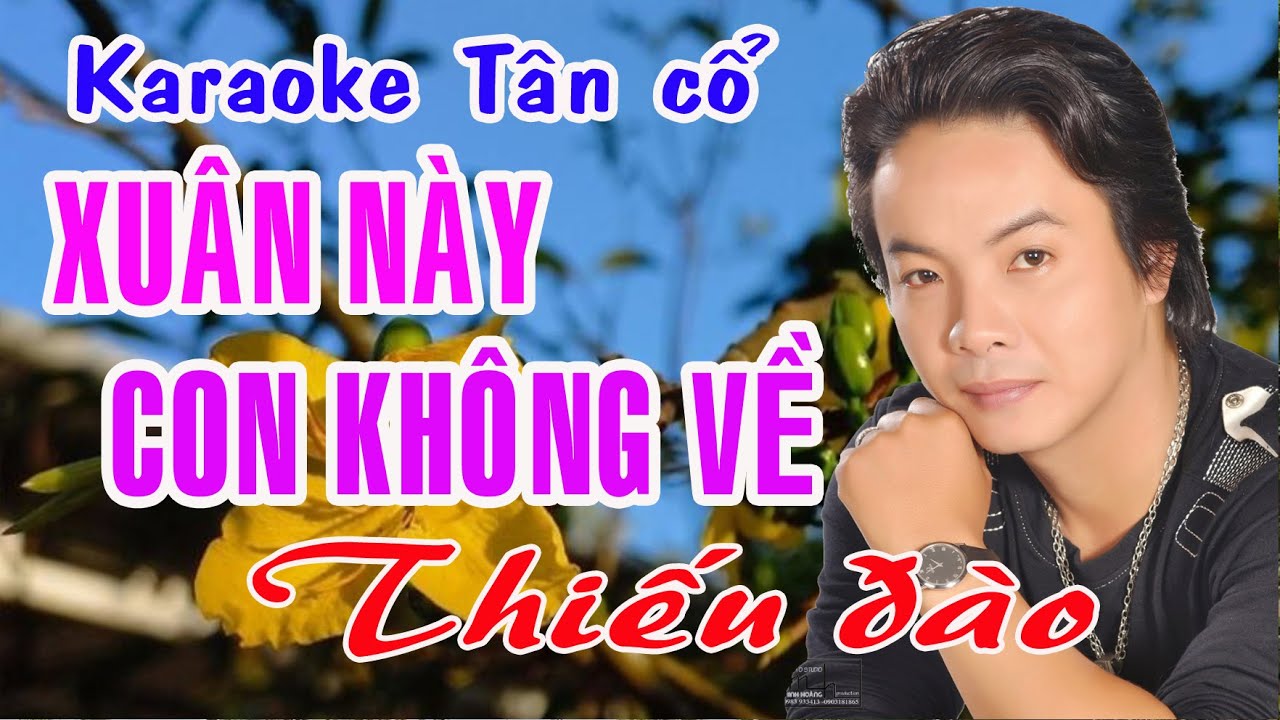 Karaoke tân cổ XUÂN NÀY CON KHÔNG VỀ - THIẾU ĐÀO [Hát cùng Ns Ngọc Trắng]