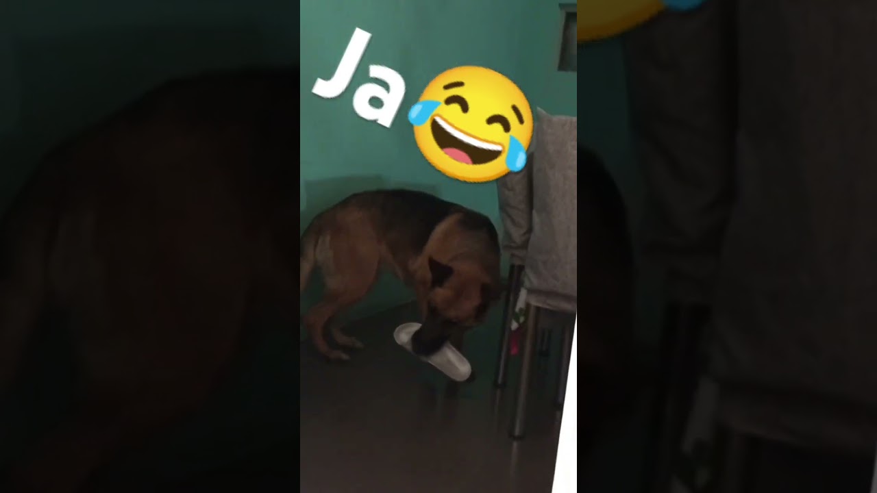 Cuando te roba las cosas 😂