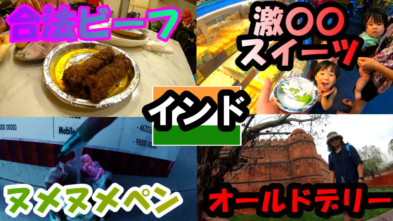 【インド11】デリーから日本へ荷物を送れるか？【デリー3日目】