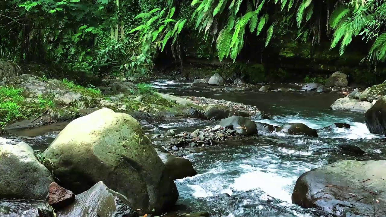 Forest River Sounds – Peaceful Flowing River & Calming Water Sounds for Deep Sleep