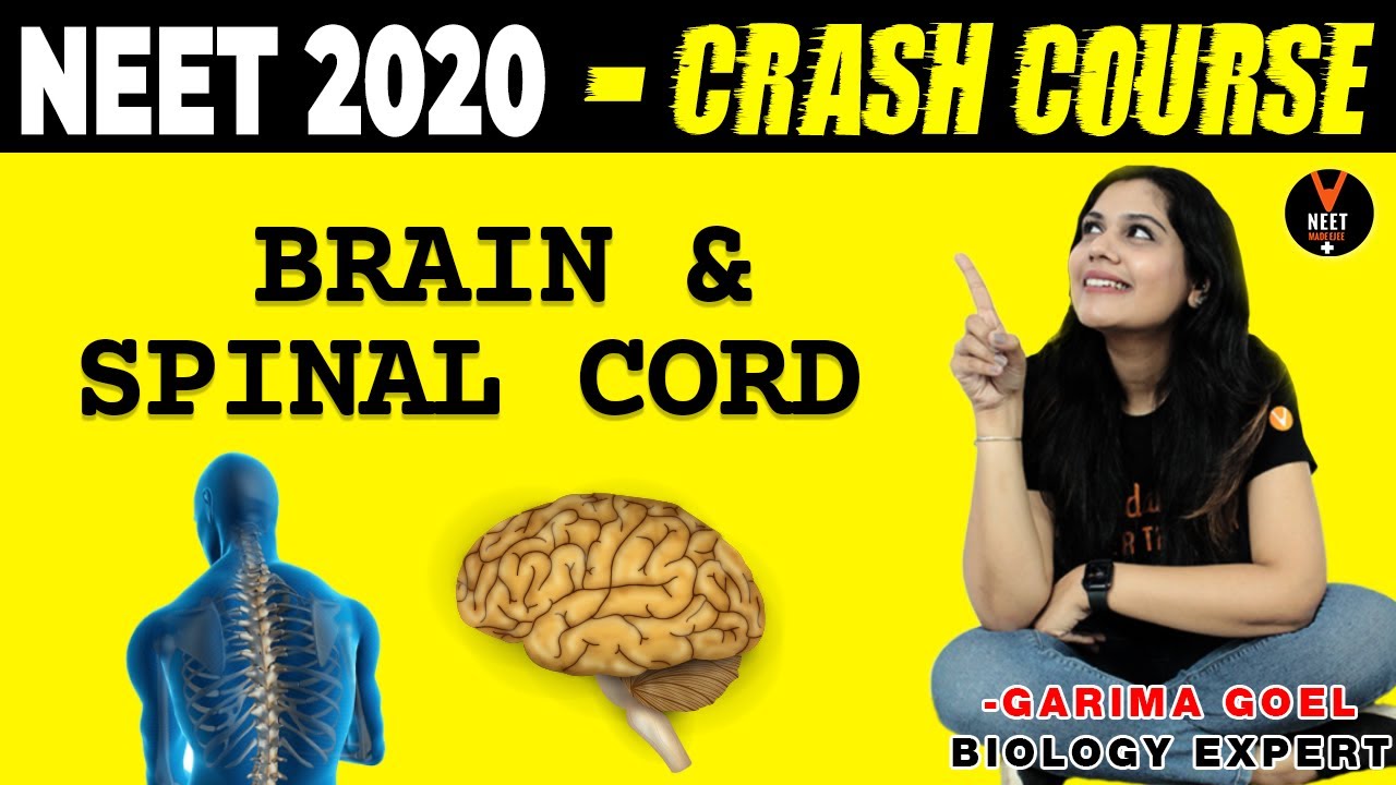 Brain and Spinal Cord Question | NEET Chemistry MCQ |Crash Course NEET 2020 Preparation |Garima Goel