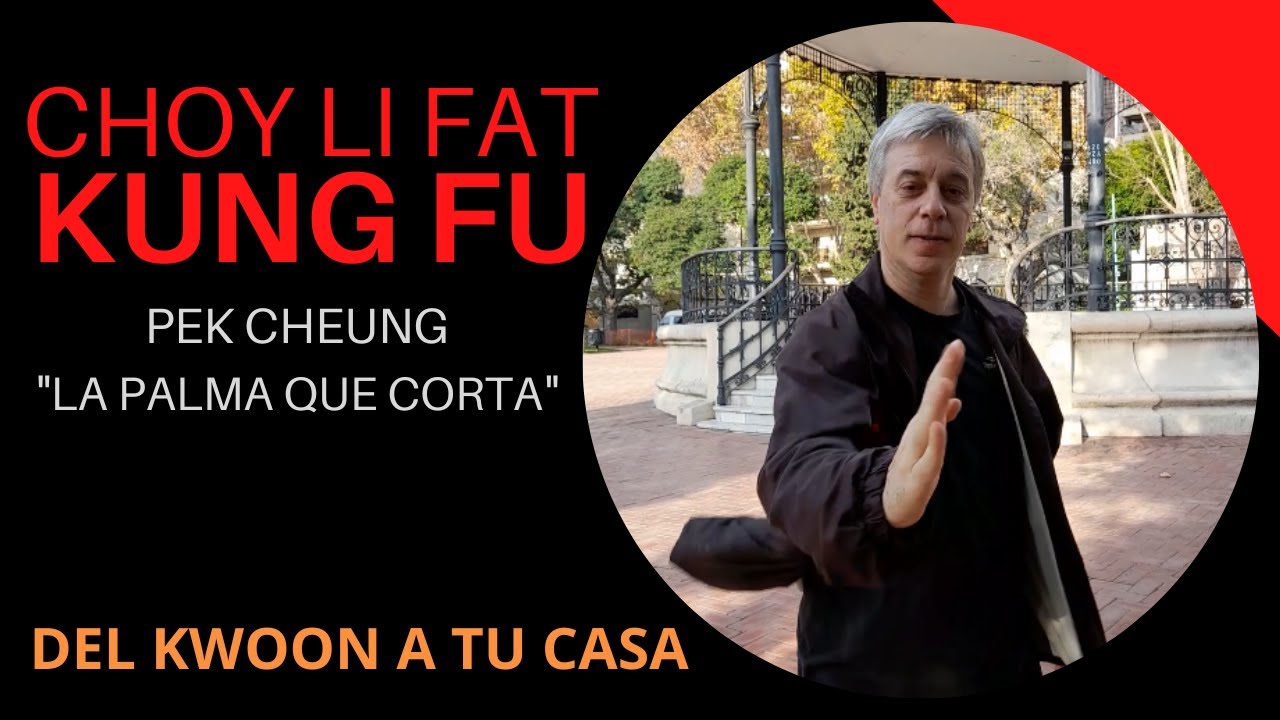 Técnica de Choy Li Fat Kung Fu: Pek Cheung 