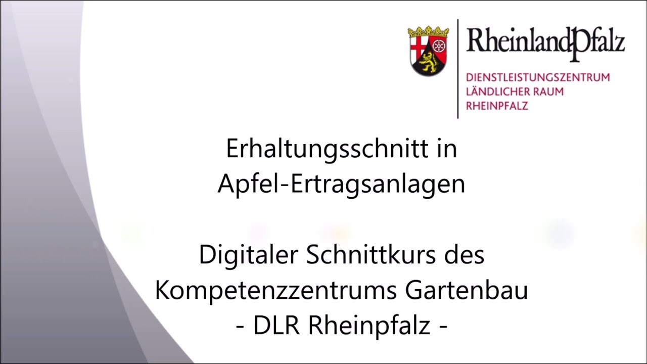 Erhaltungsschnitt in Apfel-Ertragsanlagen