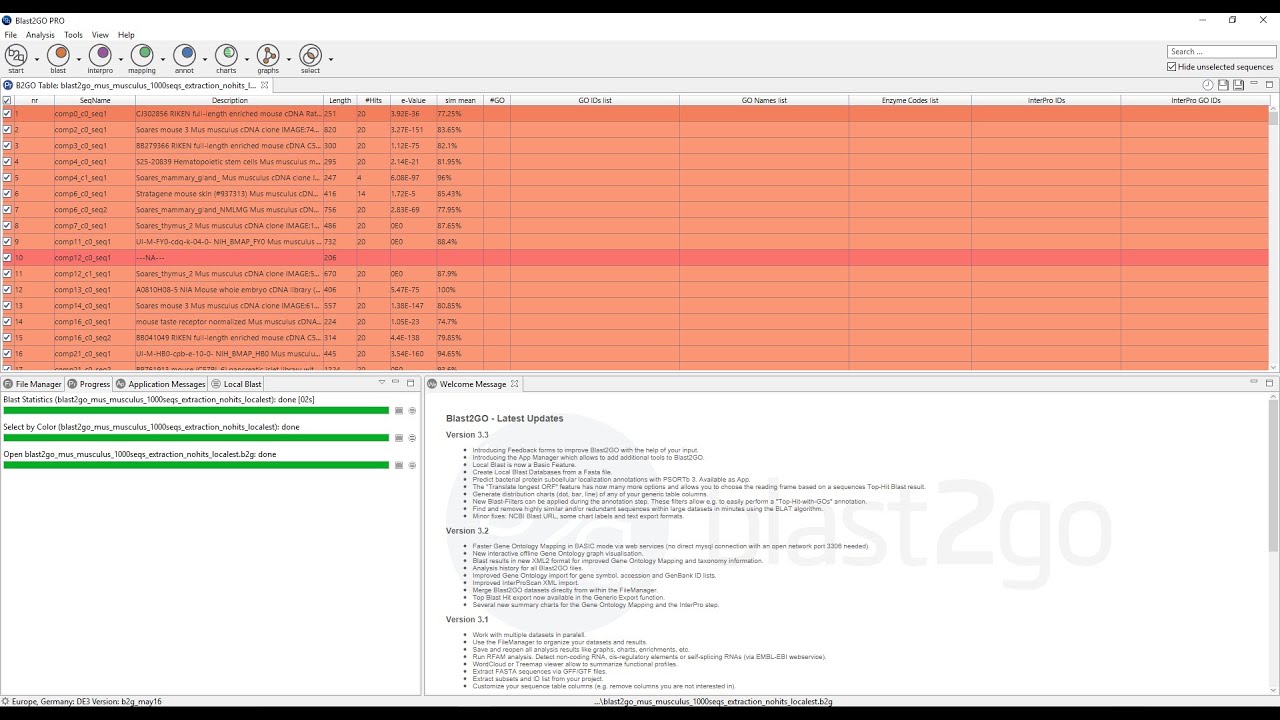 How to run a local Blast against a custom database