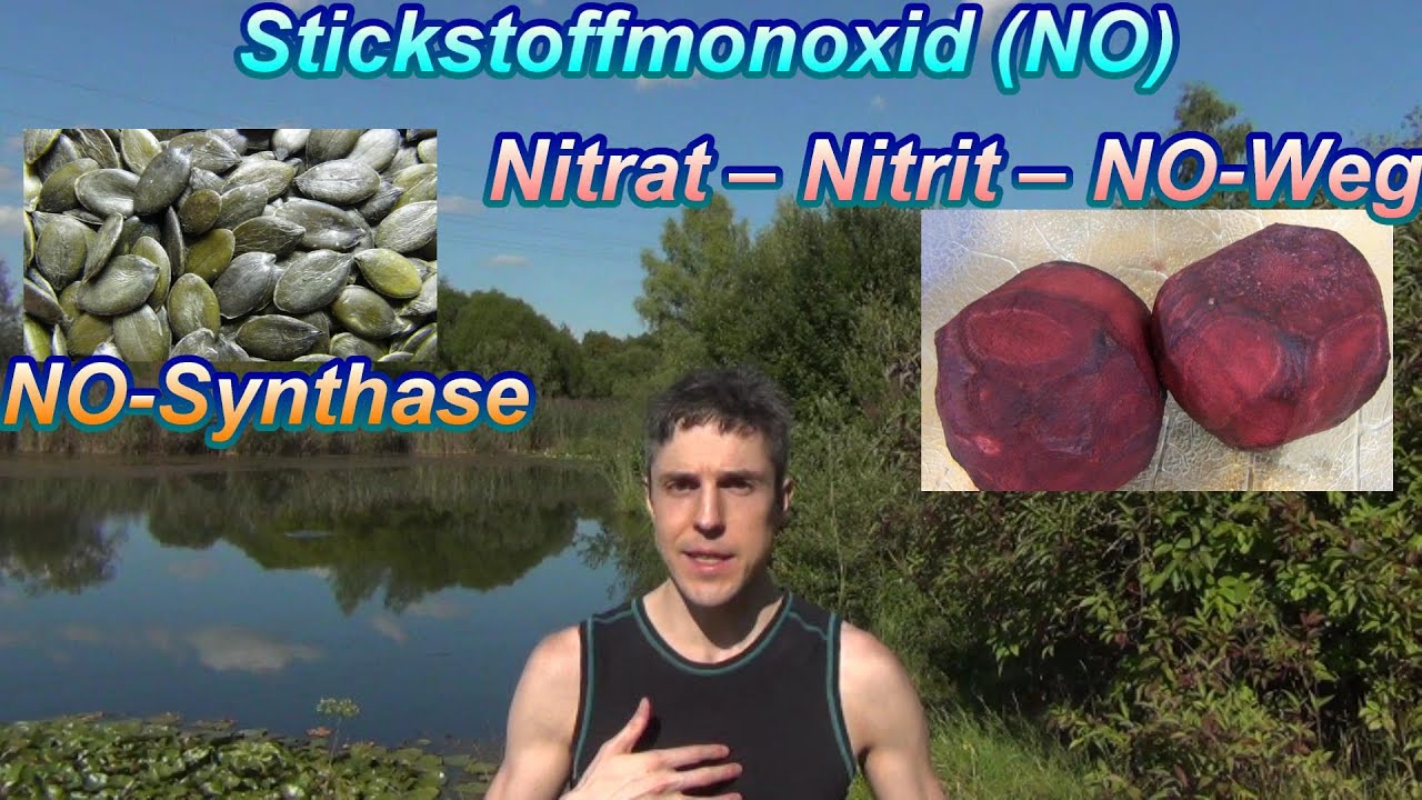 Wie Rote Bete & Kürbiskerne dein Leben verändern: Stickstoffmonoxid aus Nitrat & Arginin fürs Herz❤️