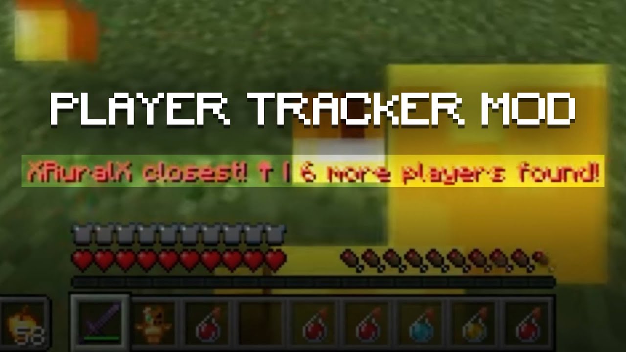 ZEDZOR'S PLAYER INDICATOR MOD REVEAL