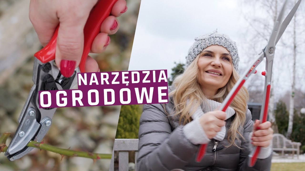 Jakie narzędzia ogrodowe używam najczęściej w moim ogrodzie?