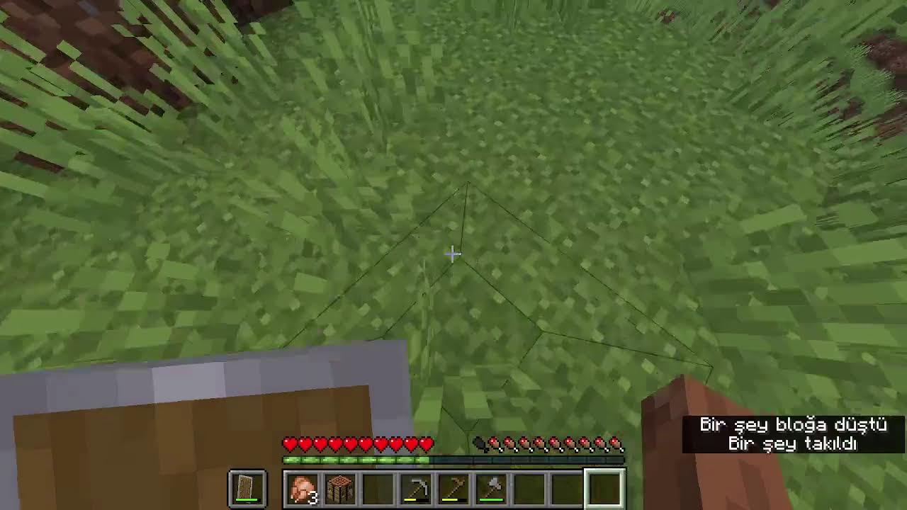 minecraft oynamaya devam