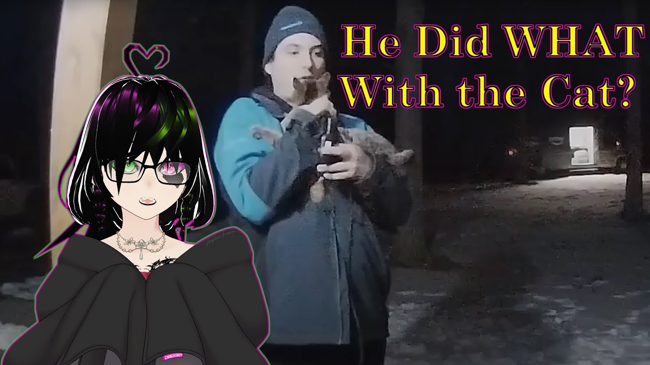 I Don't Understand Why He Did That! | Daily Dose Reaction Vtuber Reacts