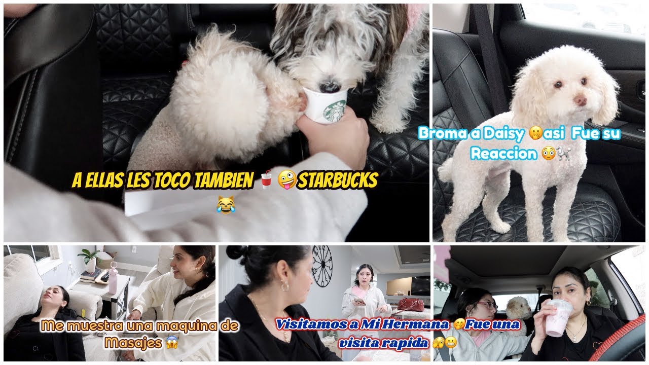 UNA MEG 🤭🫣VISITA A MI HERMANA👯 LE HACEMOS UNA BROMA 😜 PESADA A DAISY 🐶🫣ASÍ FUE SU REACCIÓN 😳😱