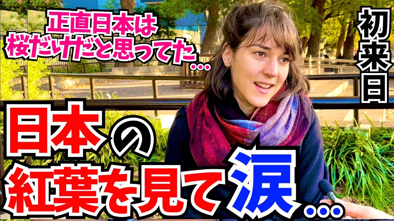 「日本の絶景は桜だけだと思ってた…」日本の紅葉に感動する外国人に日本での素晴らしい体験談を聞いてみた!!【外国人にインタビュー】【海外の反応】