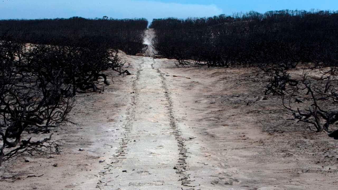 Kangaroo Island bushfires ‘brought the island together’
