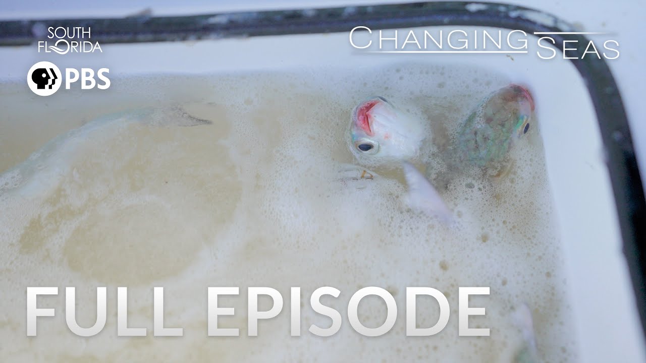 Mystery of the Spinning Fish - Full Episode