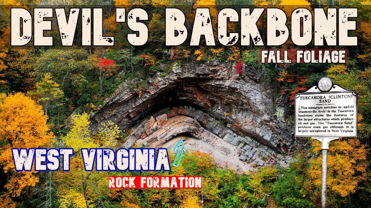 Devil's Backbone | Fall Foliage | West Virginia